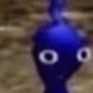 Meet your Posher, Georgia